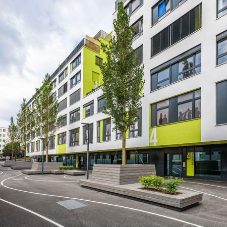 À saisir ! Appartement de 2.5 pièces avec une magnifique terrasse ! - Photo 2