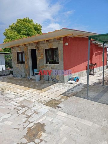 Μονοκατοικία για ενοικίαση Καλλικράτεια - Photo 4