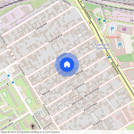 Chojny, Antenowa, Łódź