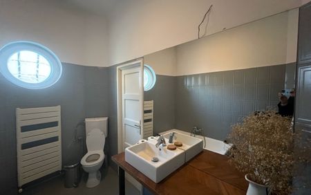 Unirii-11 Iunie apartament de inchiriat in vila interbelica - Photo 5