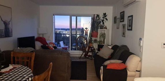 4 demi + Bureau/DROIT chiens et chats - Photo 2