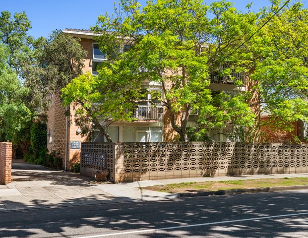 18/97-99 Kooyong Road, Armadale VIC 3143 - Apartment For Rent | Domain - Photo 1