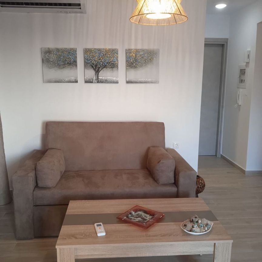 Studio/Γκαρσονιέρα για ενοικίαση Αετός (Κάρυστος) - Photo 1