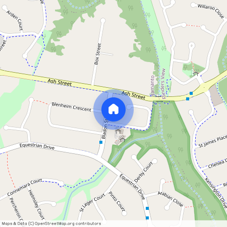 8 Bladon Street, Yamanto QLD 4305