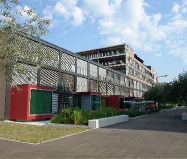 Modern individual apartment - Photo 1