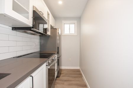 **BEAUTIFUL** 1 BEDROOM MAIN UNIT IN HAMILTON!! - Photo 3