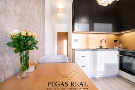 Pronájem vybaveného bytu 1KK 19,2 m - Fotografie 5