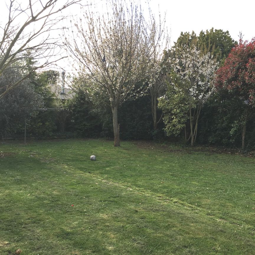 117 Avonhead Road, Avonhead - Photo 1