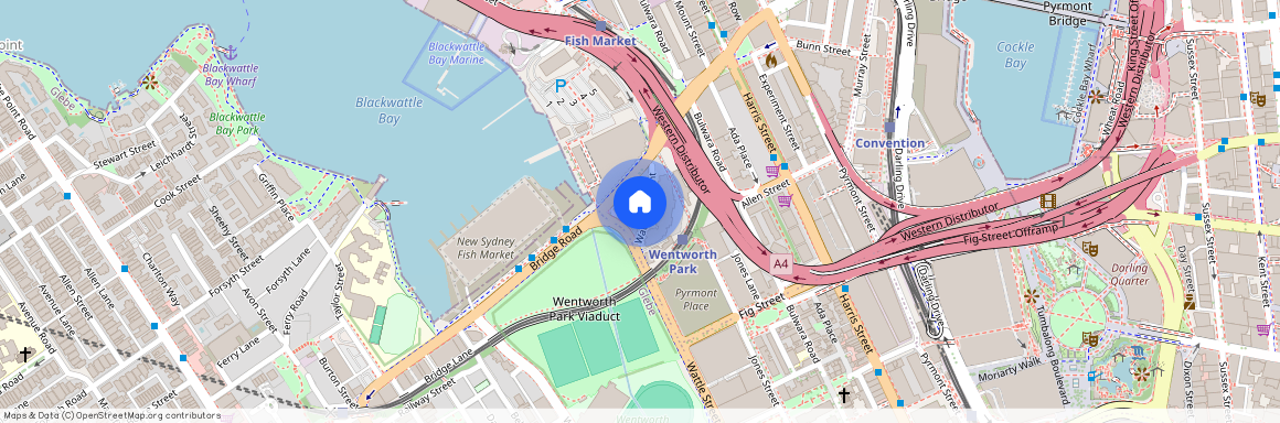 216/1 Wattle Crescent, NSW 2009, Pyrmont