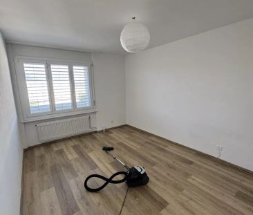 Magnifique logement de 3 pièces à louer ! - Photo 3