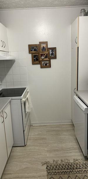 Juillet 41/2Style Condo/ Universit - Photo 1