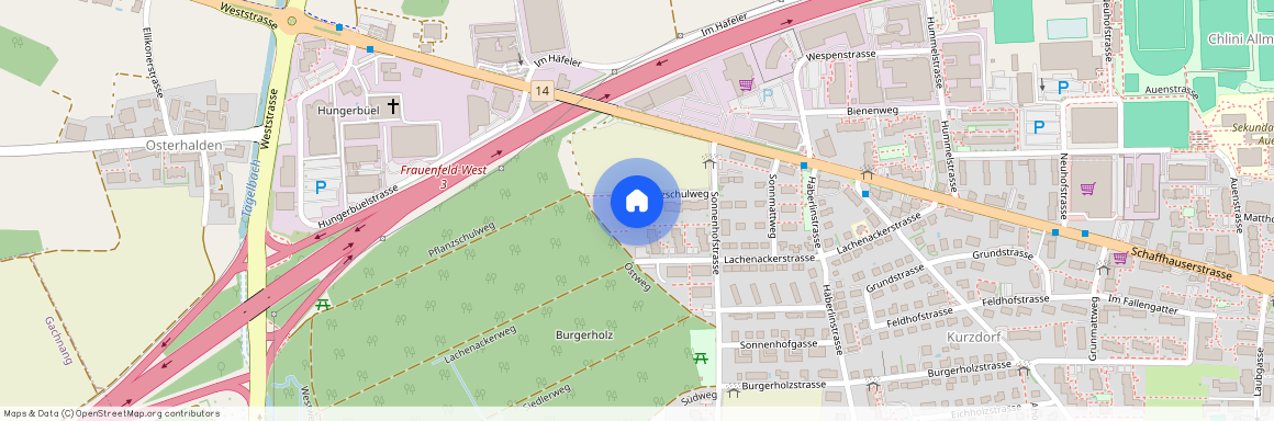 Pflanzschulweg 9, 8500 Frauenfeld