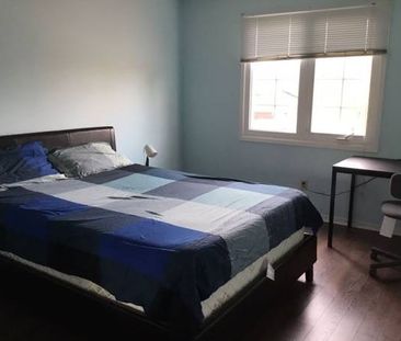 1 bed/ 1 bath For rent - $980 | inc all utilities + Internet - Photo 1