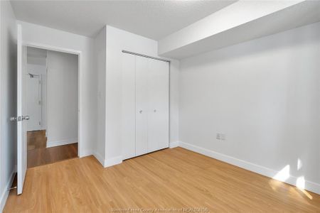 For Lease - 3000 SANDWICH Unit# 317, Windsor, Ontario - Photo 4