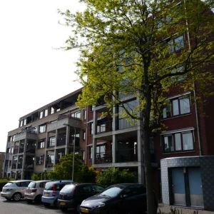 Appartement Anjerhof 28, Naaldwijk - À Louer - Photo 3