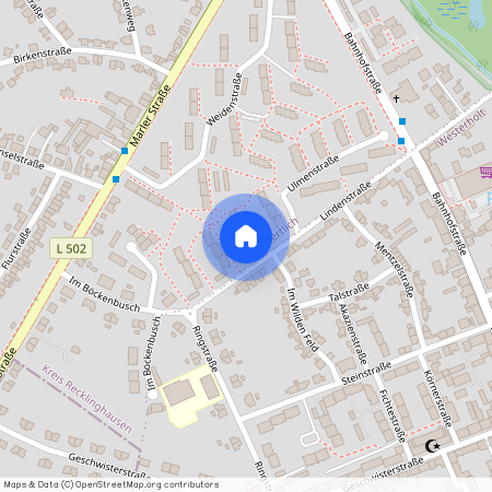 Lindenstr. 32, 45701, Herten Ot Westerholt