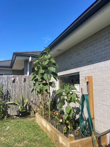 Willow Vale - Photo 4