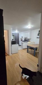 À Laval, un grand 4 1/2 à louer, disponible immédiatement - Photo 3