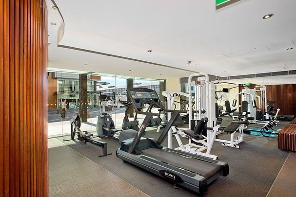 14 Pottinger Street, Sydney NSW 2000 - Townhouse For Rent | Domain - Photo 1