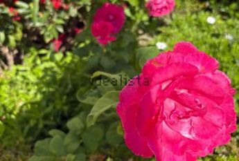 Alquiler de piso en N-340, 20