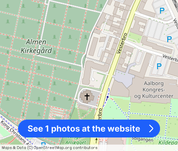 Velindrettet lejlighed centralt i Aalborg med gode faciliteter - Photo 1