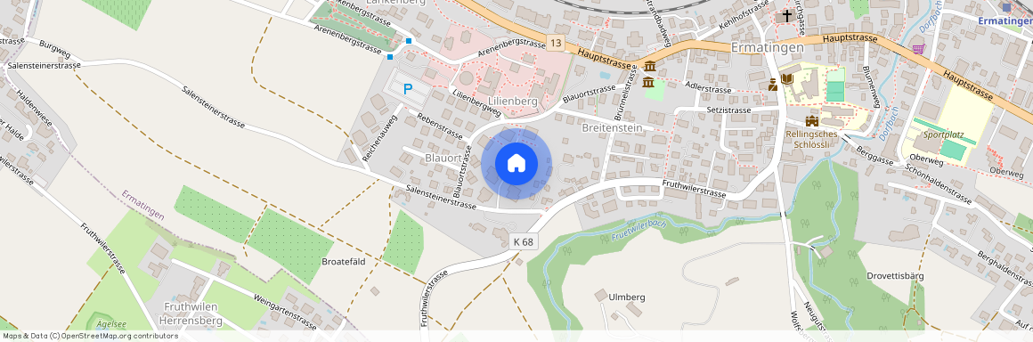 8272, Ermatingen, Salensteinerstrasse, 10d