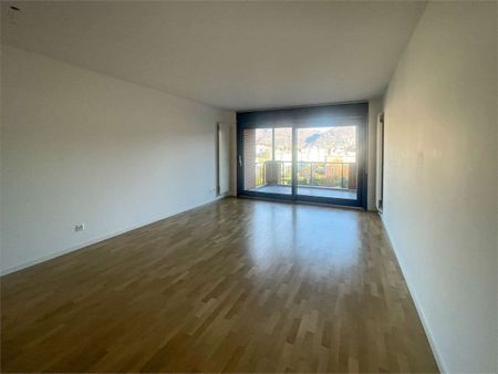 Elegant renovated 4.5-room apartment with a terrace in Breganzona - Photo 4