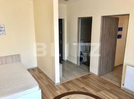 Apartament 1 camera, PET FRIENDLY, strada Cetatii! - Photo 3