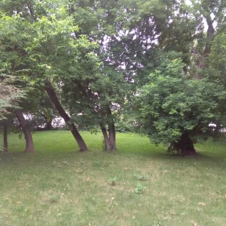 5½ Centre-Ville De Sherbrooke - Photo 1