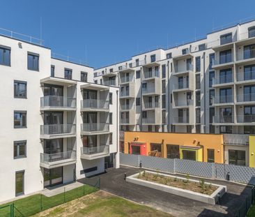 DER BALLON - Ankommen und abheben - NATURNAHES WOHNEN NAHE DER SEES... - Photo 3