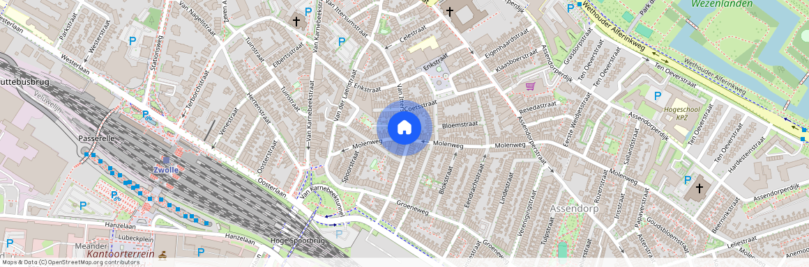 Oud-Assendorp, 8012 TJ, Van Ittersumstraat, Zwolle