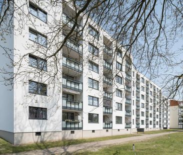 Demnächst frei! 3-Zimmer-Wohnung in Göttingen Grone-Süd - Photo 3