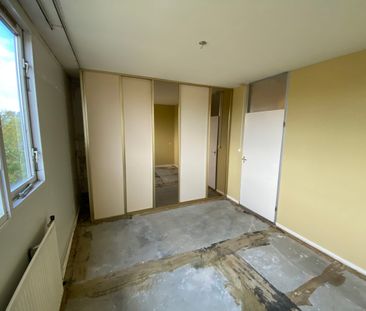 Bolksbeek 56 - Photo 4