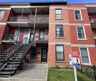Appartement à louer - Montréal (Le Plateau-Mont-Royal) (Mile-End) A... - Photo 2
