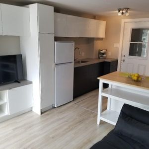 JANVIER Coquet 3.5+bur. meublé hydro inclus - personne seule - Photo 2