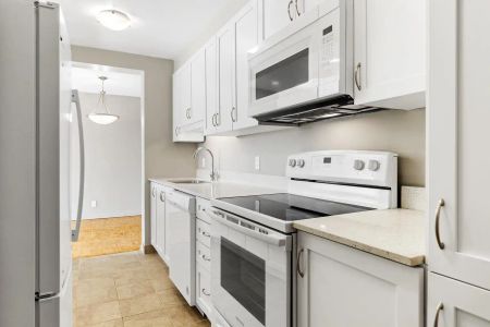 Lord Halifax Place — Renovated 3 Bedroom with A/C - Photo 3