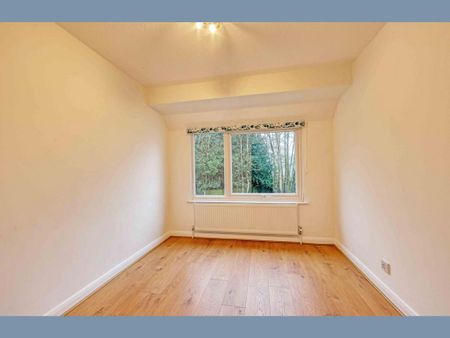 4 bedroom property to rent - Photo 3