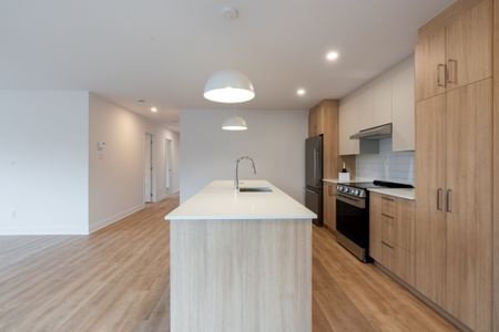 451 8e Avenue, app.102, J7R 3K9, Deux-Montagnes - Photo 3