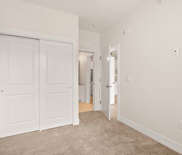 YEARLING - 201 - YE201 - Photo 3