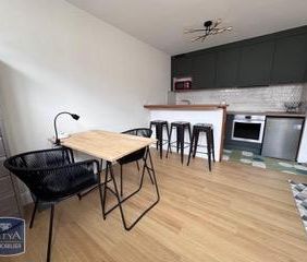 Location Appartement 2 pièces 44m² TOURS 37000 - Photo 4