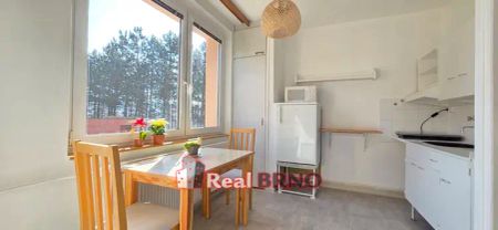 Pronájem bytu 2+1, Štěpánkovice, Mlýnská, okres Opava - Photo 2