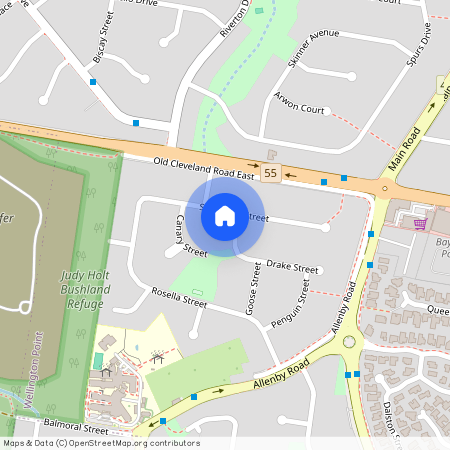 17 Sandpiper Street, QLD 4160, Wellington Point