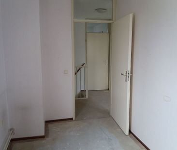 Beryl 17 - Photo 6