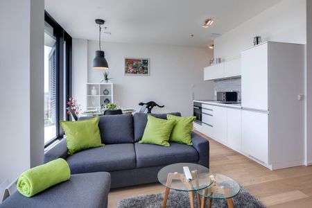 Exclusive 1.5-room luxury apartment for rent - Photo 2