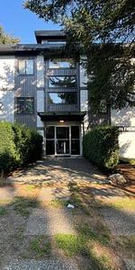 Pet-Friendly 1-Bed, 1-Bath Apartment in Marpole, Vancouver - Photo 4