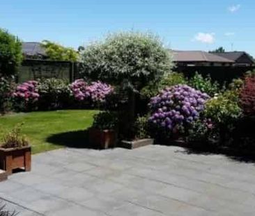 Hidden Gem in Addington. - Photo 2