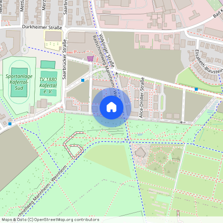 Leonie-Ossowski-Promenade 11, 68309 Mannheim