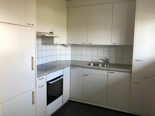 Schöne Wohnung am der Haldenstrasse 20 - Photo 1