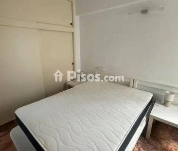 Piso en alquiler en Guardamar del Segura - Photo 4