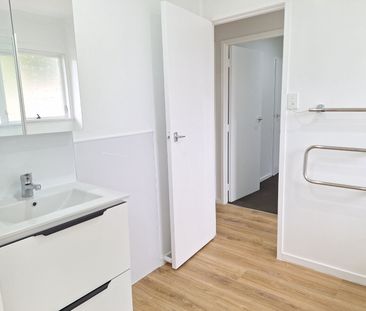 Freshly Renovated, includes Water and Lawns - Photo 6